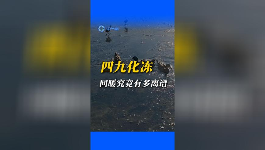 赢彩吧859Cc赢彩图文,近8千订酒店提前半个月退款被拒,国产化作答解释落实_尊享版V7.29